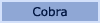 Cobra Radar Detectors