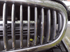 Cheetah Sentinel in front of the grill.